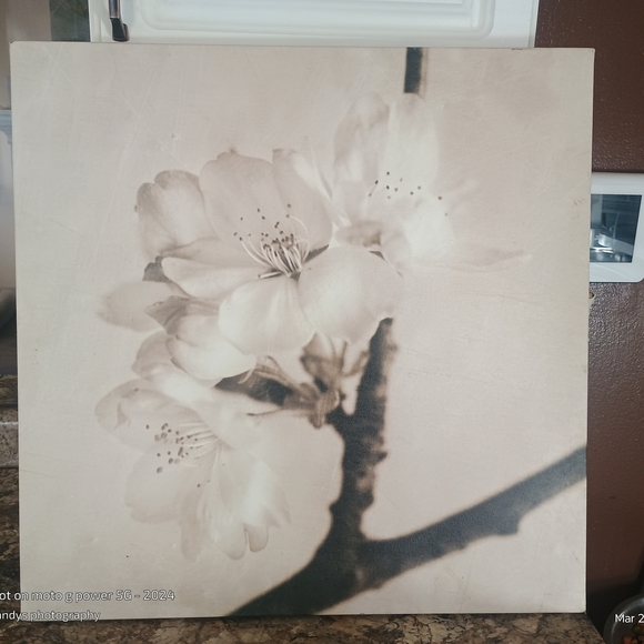 flora marie Other - Floral Canvas Art in Cream and Brown